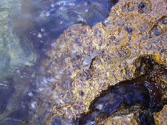P1030569.JPG