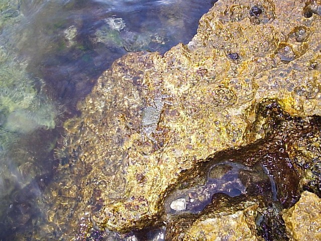 P1030570.JPG