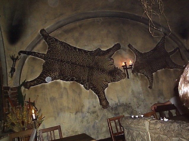 P1071214.JPG