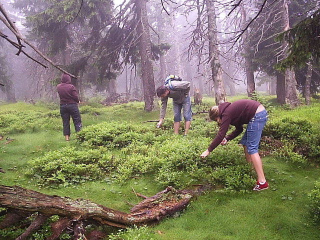 P1024384.JPG