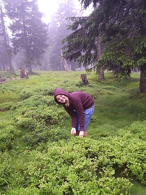 P1024390.JPG