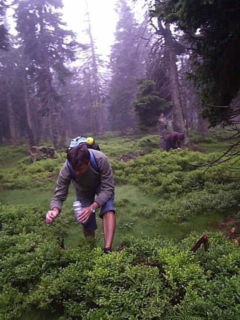 P1024391.JPG