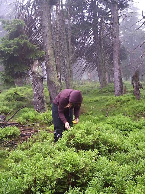 P1024392.JPG