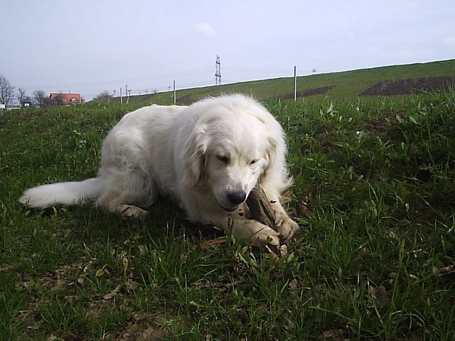 P1033394.JPG
