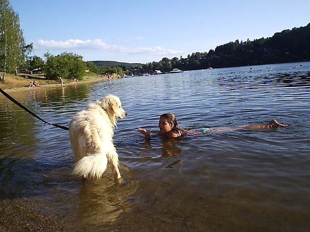P1034020.JPG