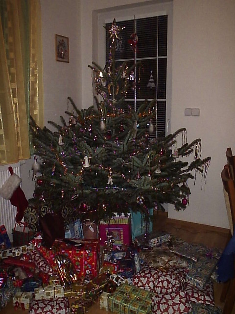 P1062713.JPG