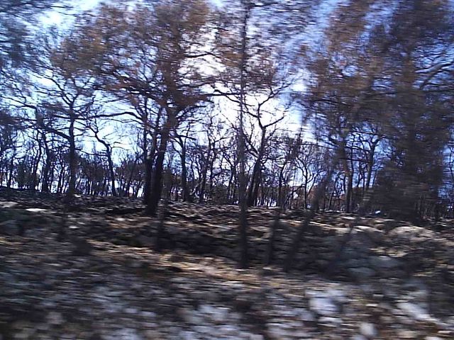 P1024721.JPG