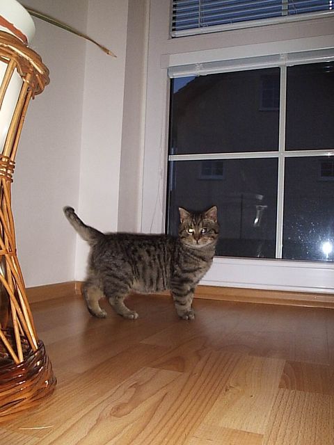 P1015036.JPG