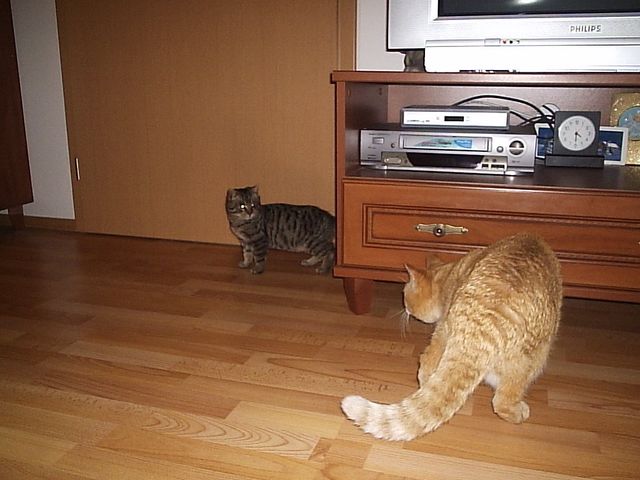 P1015044.JPG