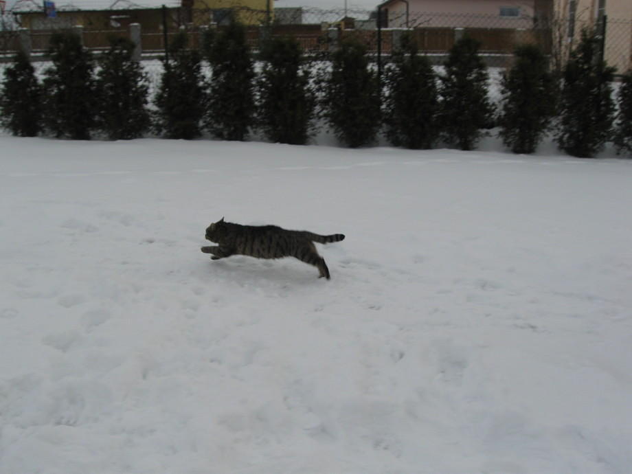 foto 095
