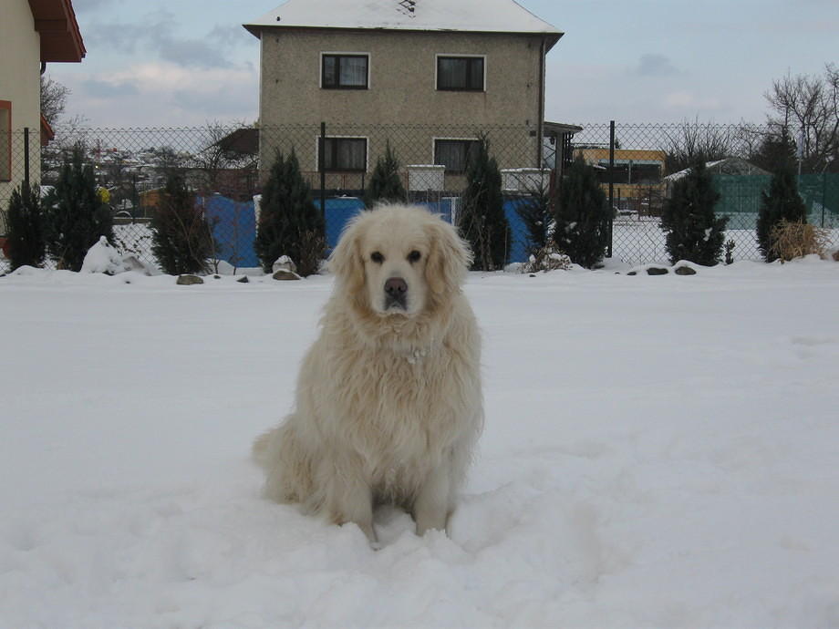 foto 096