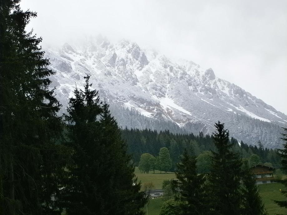P5250138