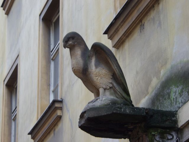 PC268252.JPG