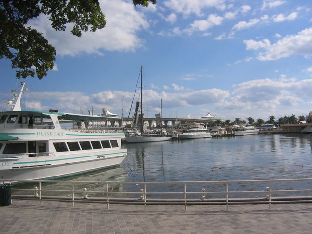 100_0095.JPG