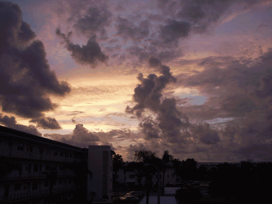 anim2.gif
Live clouds above our home - 
the Ivy Building at
5725 80th St. N.
Saint Petersburg, Florida 