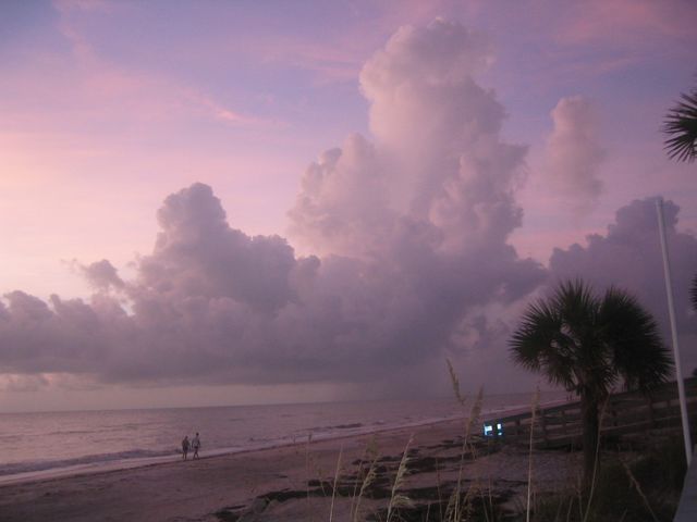 IMG_2509.JPG