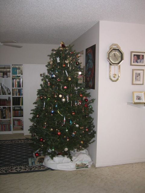 IMG_2683.JPG