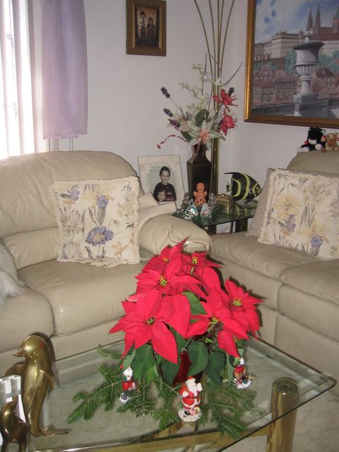 IMG_2692.JPG