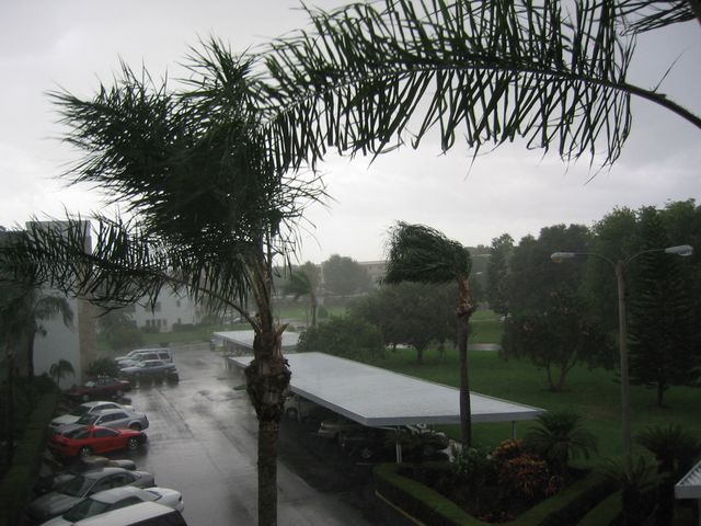 IMG_2478.JPG