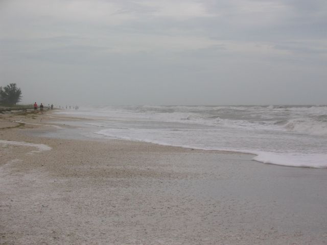 IMG_2483.JPG