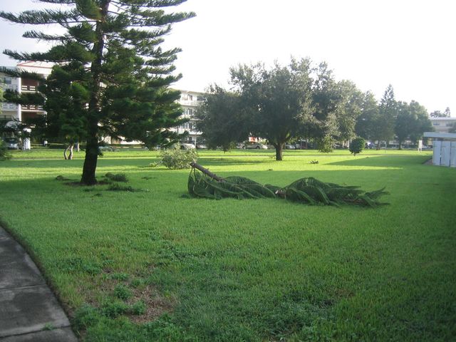 IMG_2526.JPG