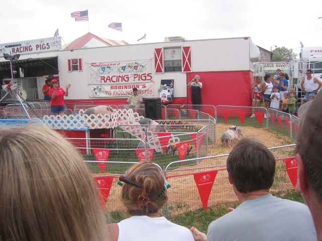 IMG_0381.JPG