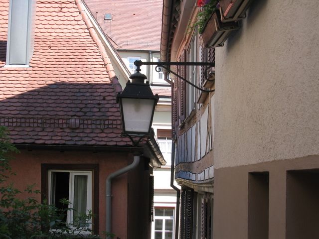 IMG_0694.JPG
