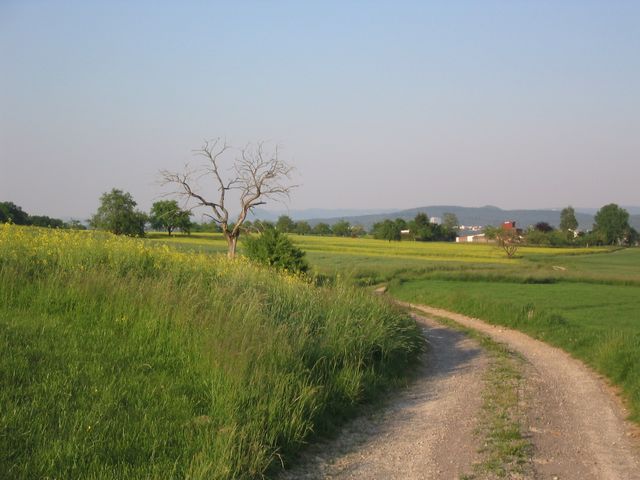 IMG_0719.JPG