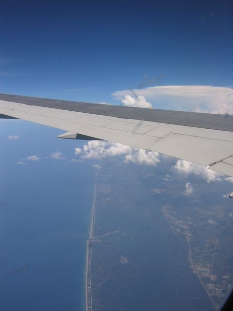 FLORIDA's COAST IMG_2331.JPG