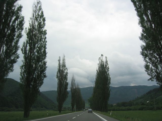 IMG_1409.JPG