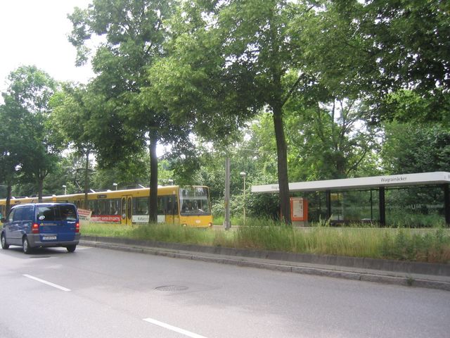 IMG_1890.JPG