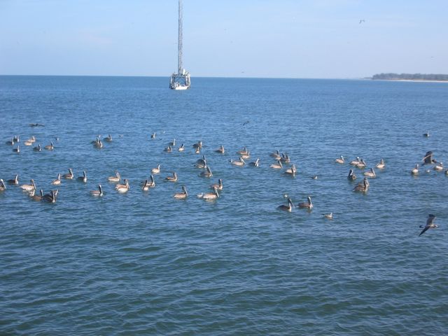 IMG_4200.JPG