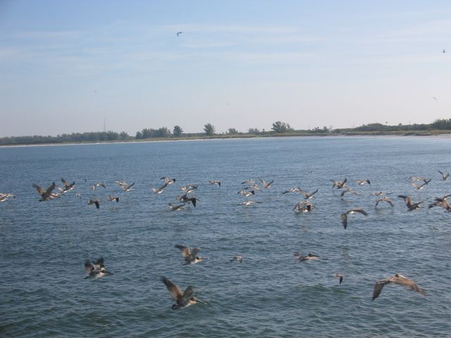 IMG_4202.JPG