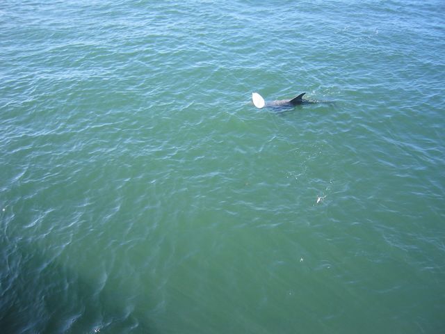 IMG_4204.JPG