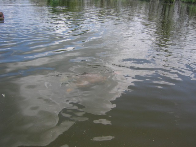 IMG_3327.JPG