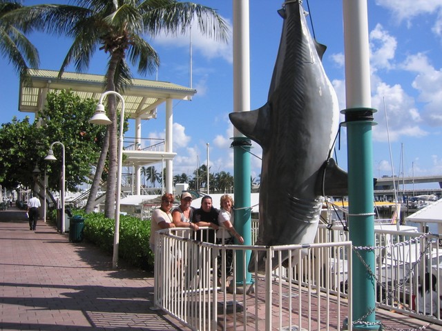 IMG_3334.JPG