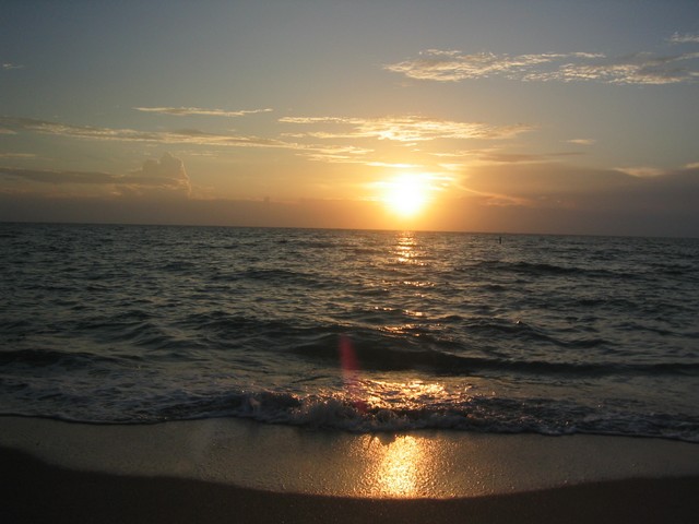 IMG_3350.JPG