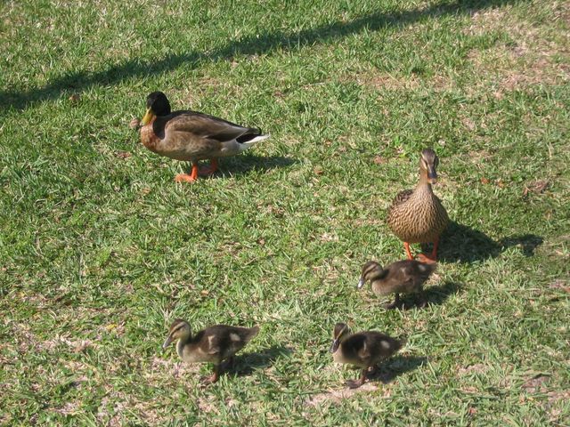 IMG_3005.JPG