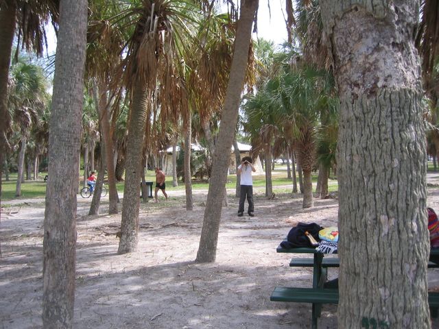 IMG_8261.JPG