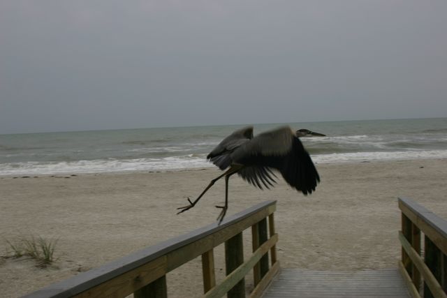 IMG_8523.JPG