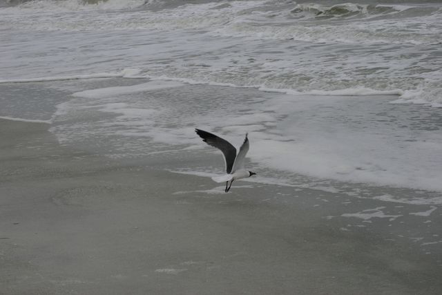 IMG_8679.JPG