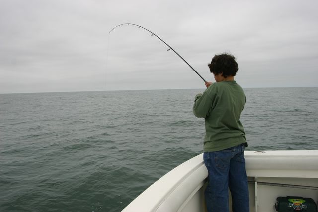 IMG_8875.JPG