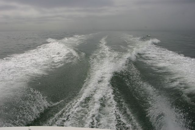 IMG_9024.JPG