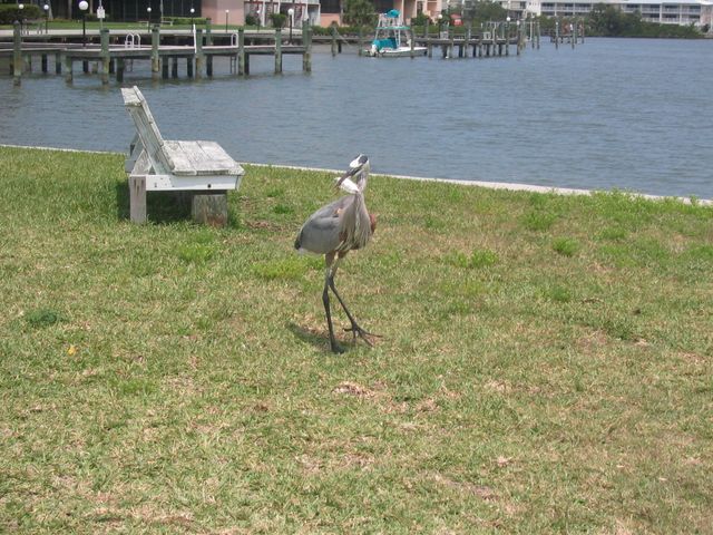 IMG_3047.JPG