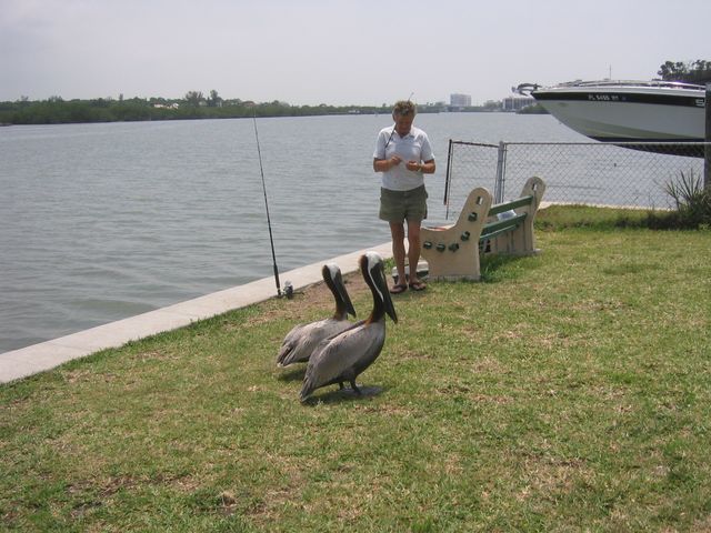 IMG_3053.JPG