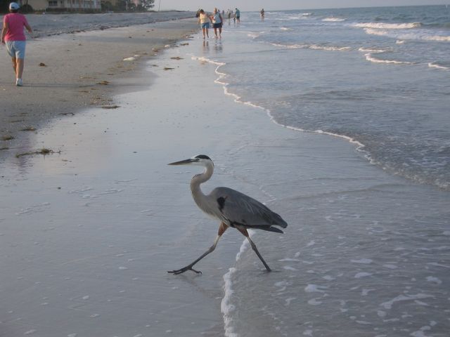 IMG_3889.JPG