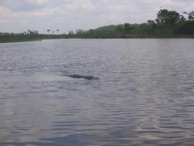 IMG_3963.JPG