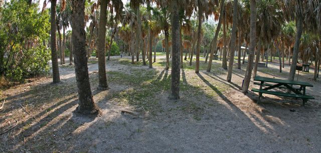 IMG_9566.jpg