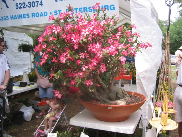 IMG_3904.JPG