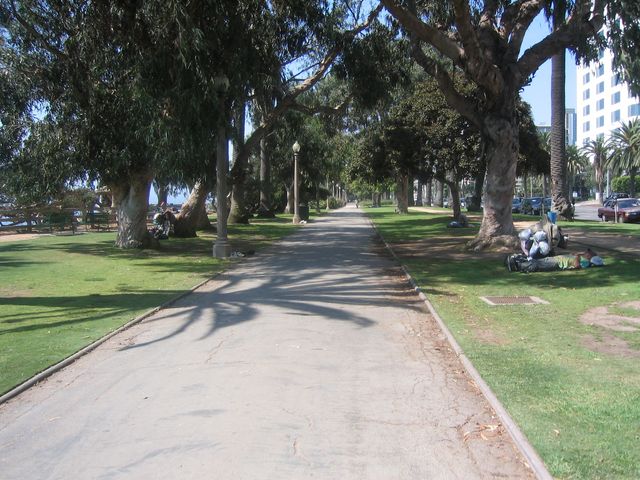 IMG_4318.JPG